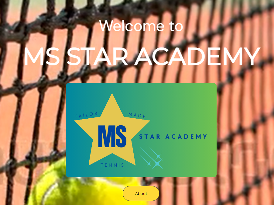 The MS Star Academy website has been created